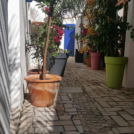 Vue Pataias