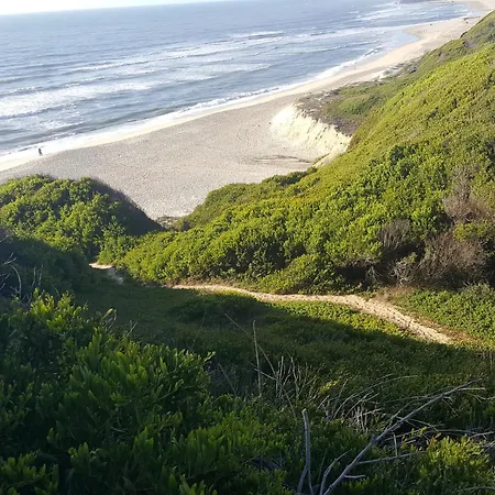 Vue * Pataias